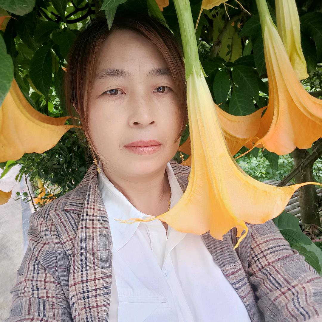 杨二妹