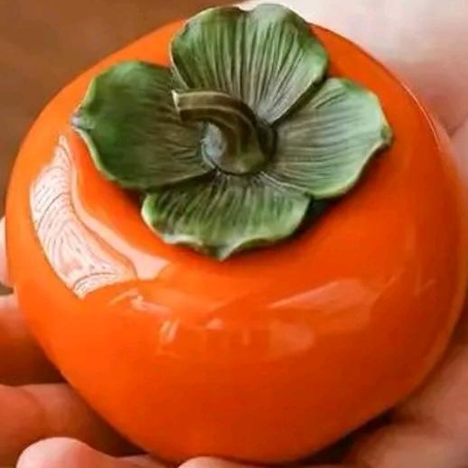 柿柿如意🍅
