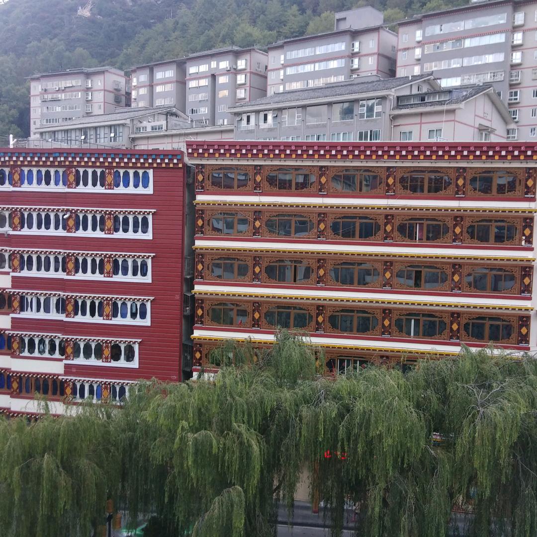 自国