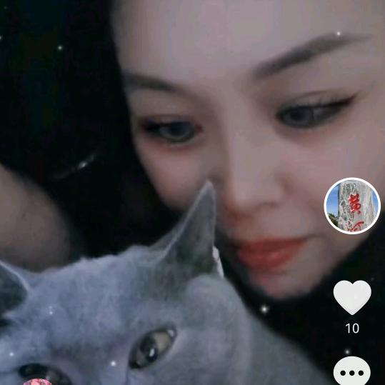 小鱼27659996
