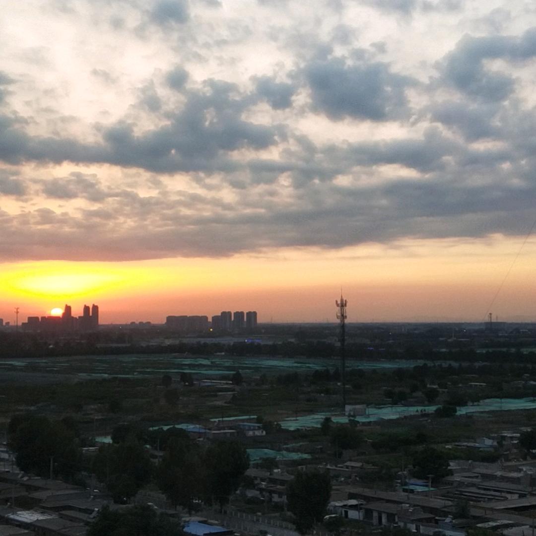勿忘我_255197065