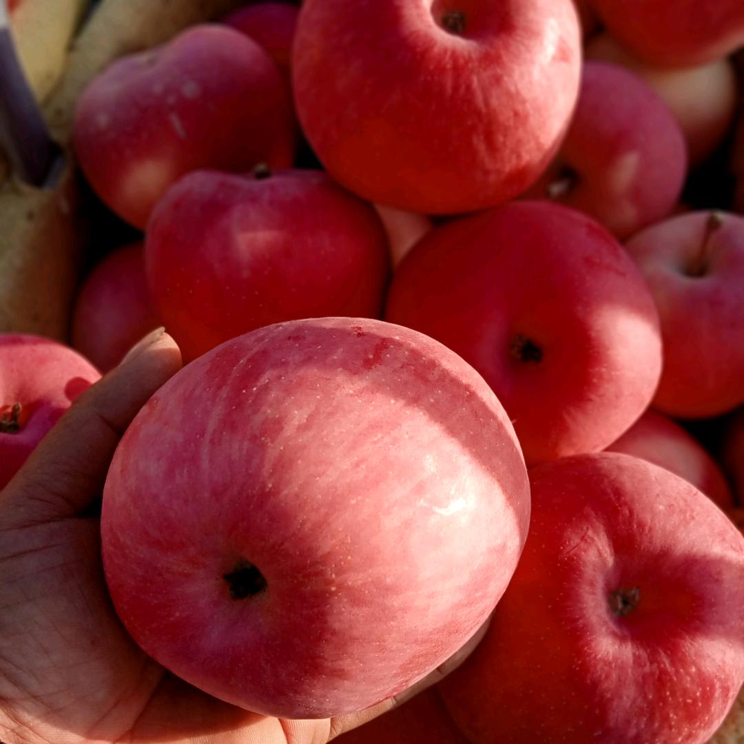 阿克苏冰糖心苹果