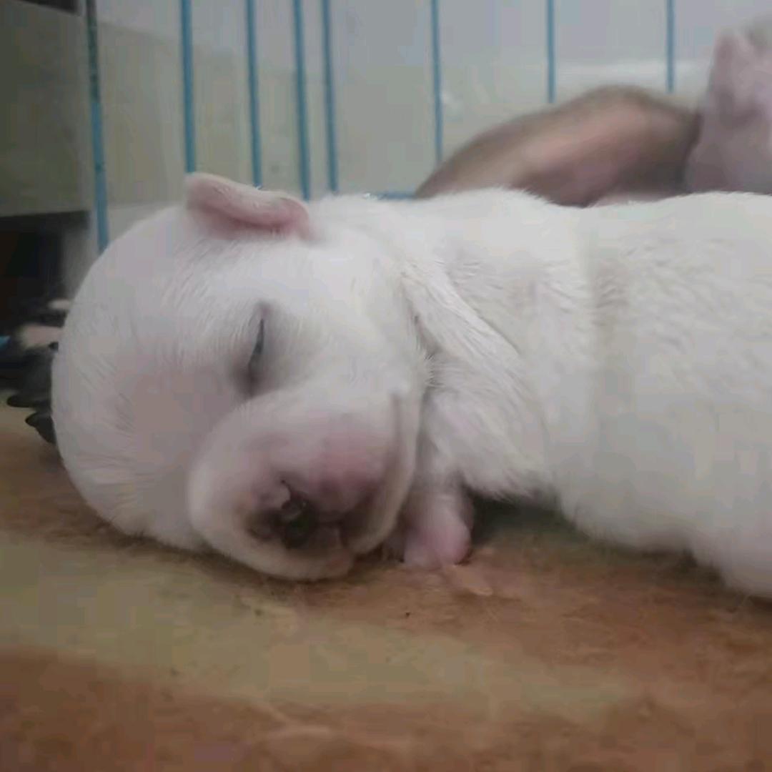 太原宠爱艺家生活馆