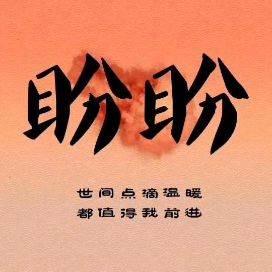 盼盼6            的个体店