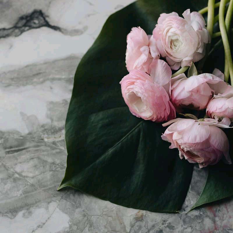 棉花糖美食分享