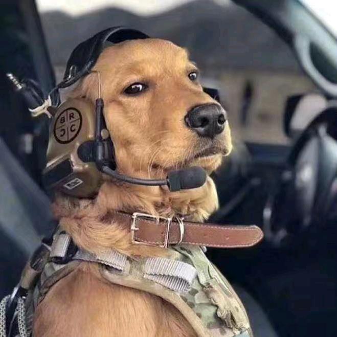 天下的乌鸦一般黑