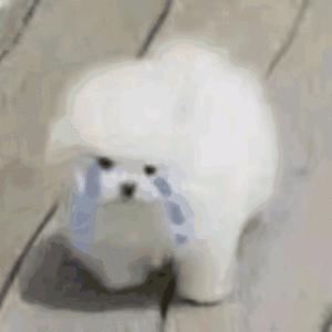 竹墨笺
