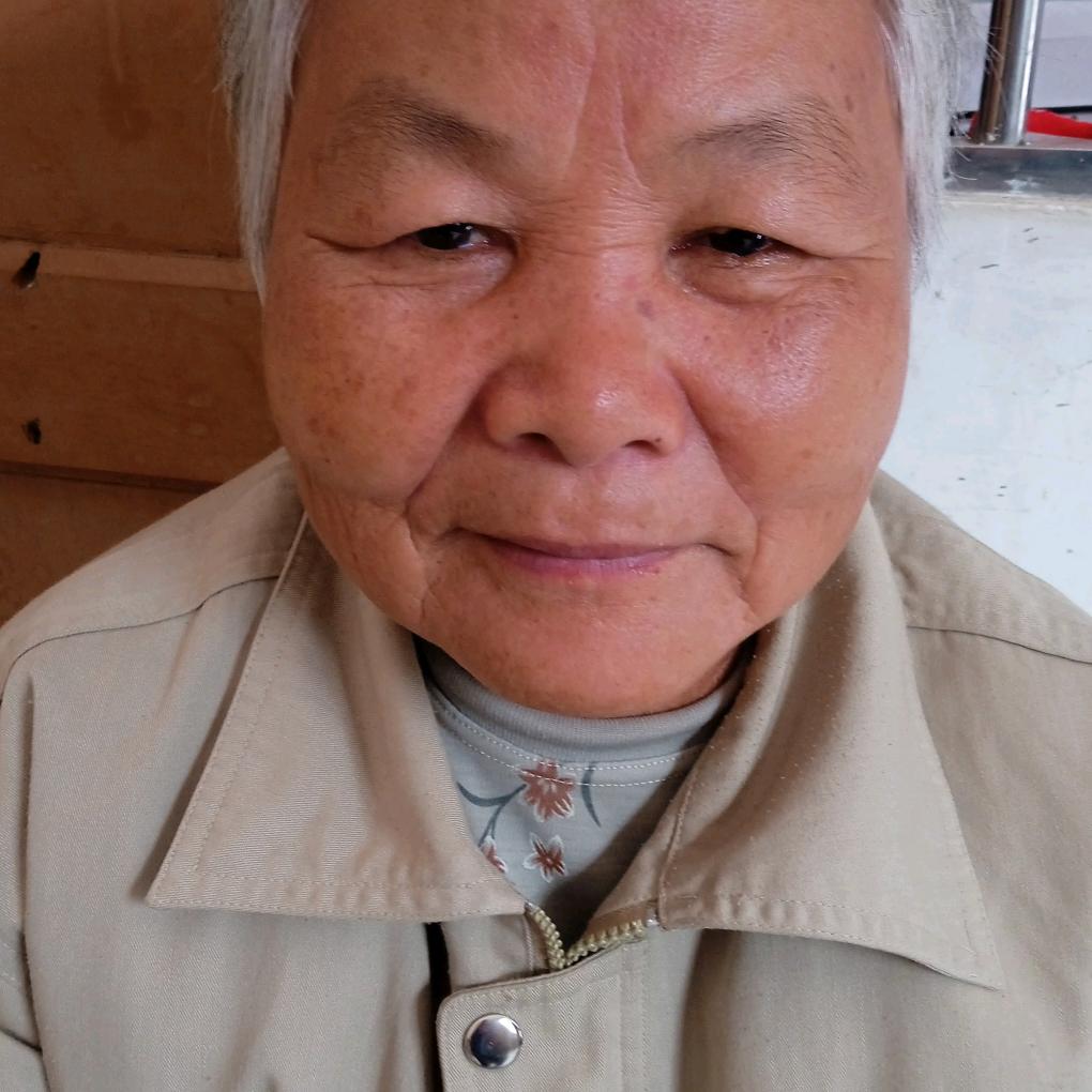 岑进清