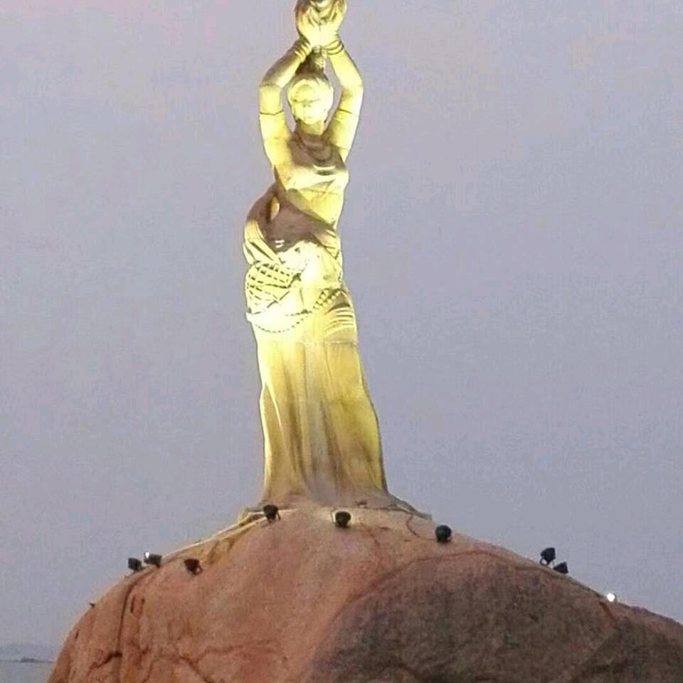 夜鸽
