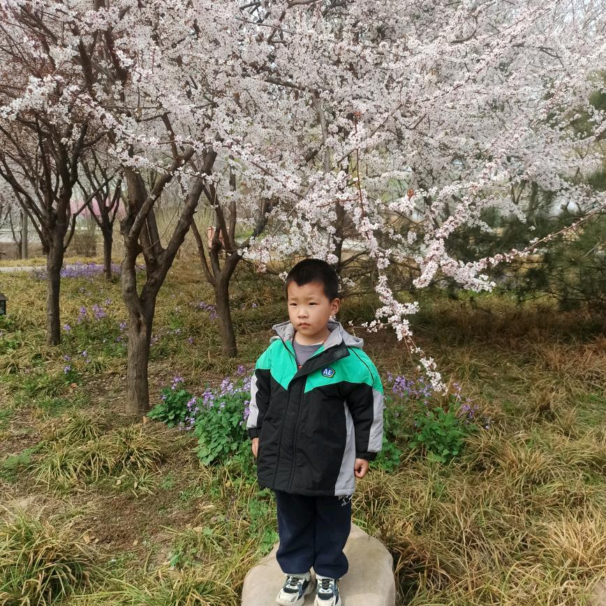 小佑佑爱上古诗词