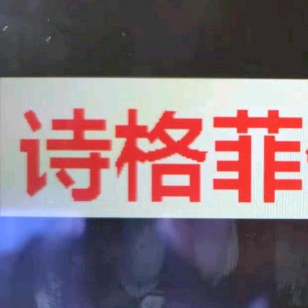 诗格菲优选