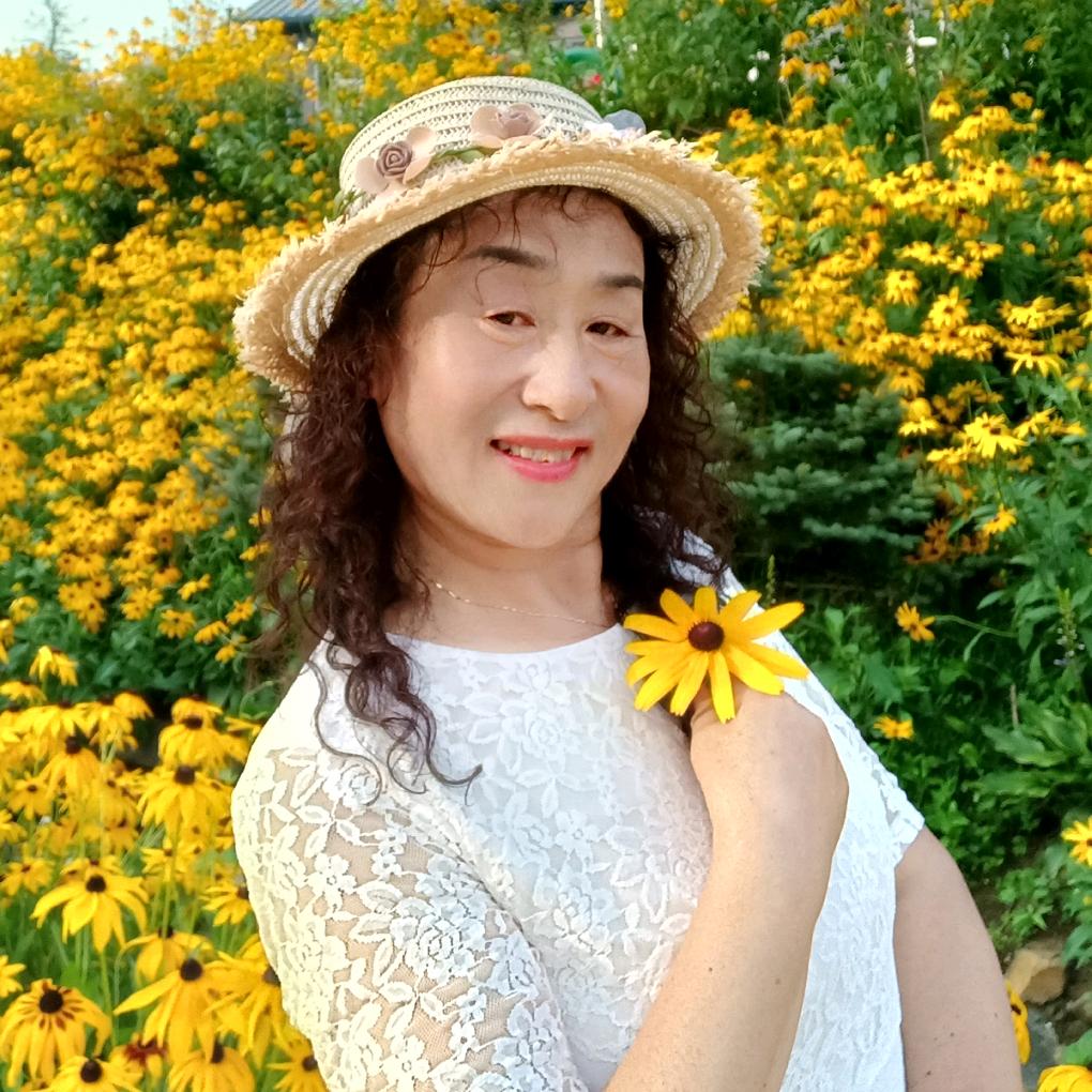 🌺琴声悠扬💦