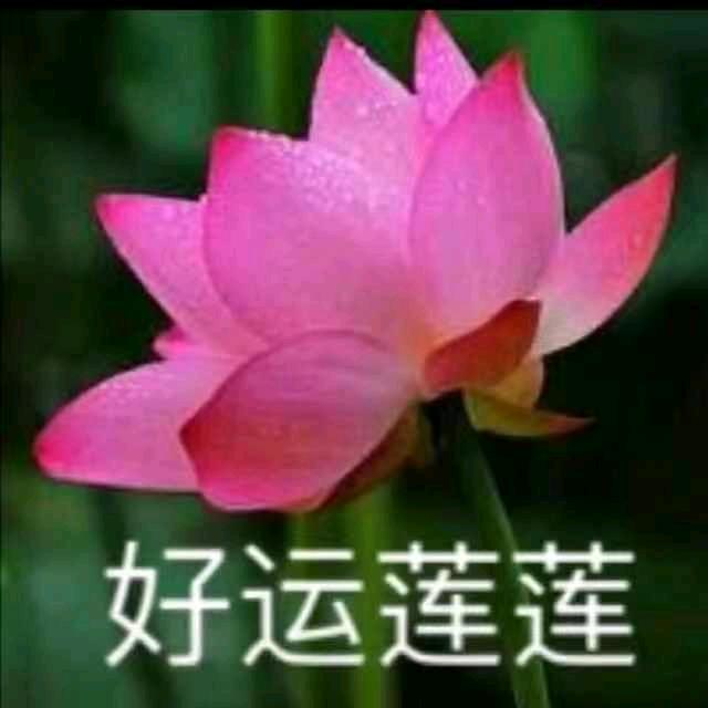 随缘