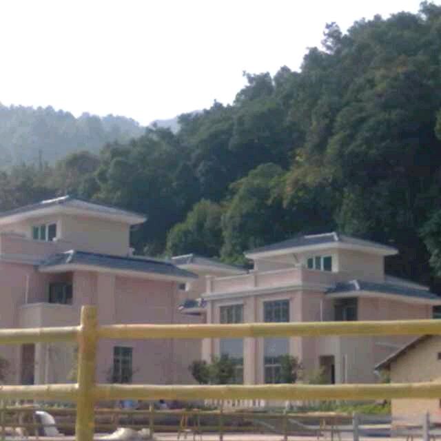 丁勇