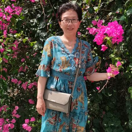 杨宝琴