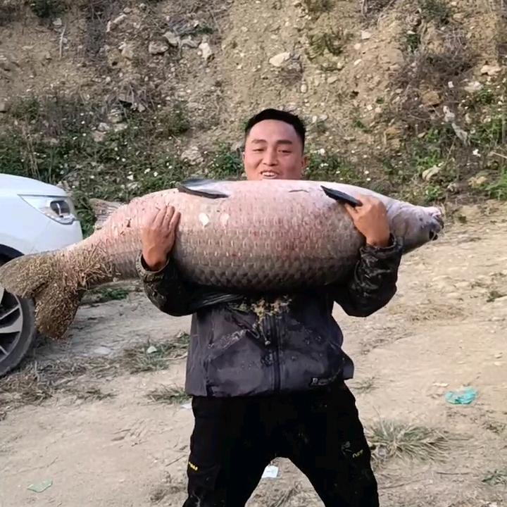 钓鱼人。九哥