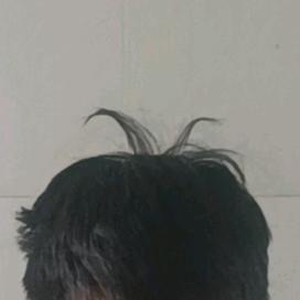 ℳℴ℘丨肖云九℘