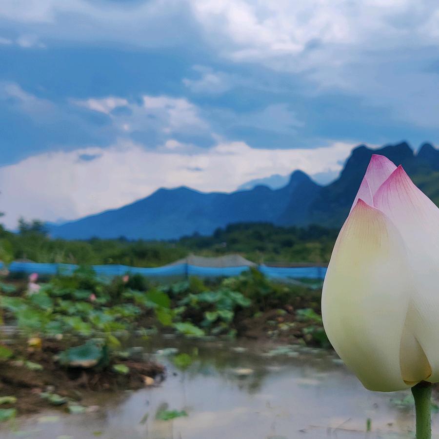 业余(•̀⌄•́)行者