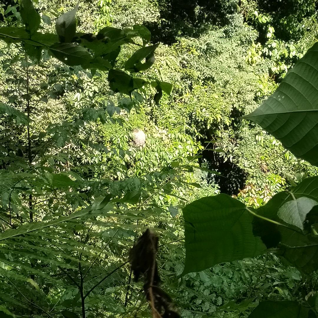 ☀🌙🐍风云决🌹🌹❤❤❤👫