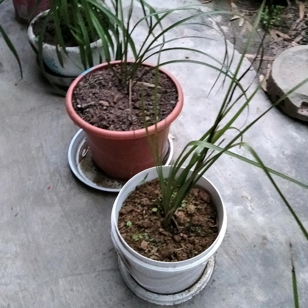 幸福美满的一天