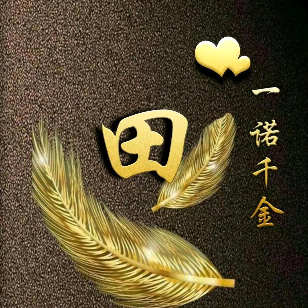 老田