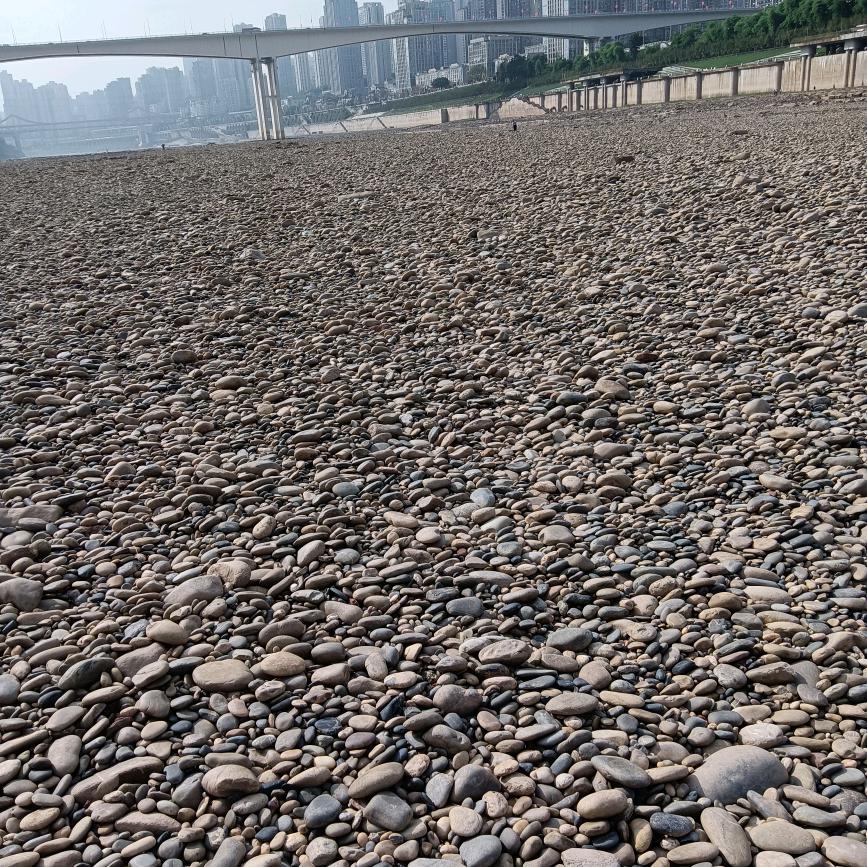 开拖拉机游世界