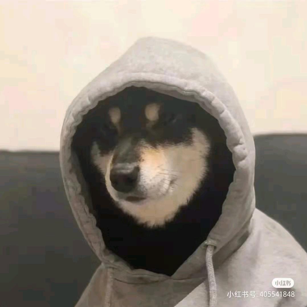 Bin