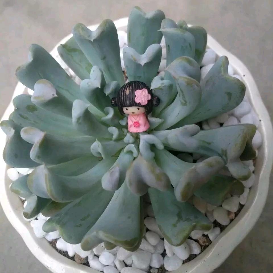 ·明天更美好·（工伤权益捍卫者）