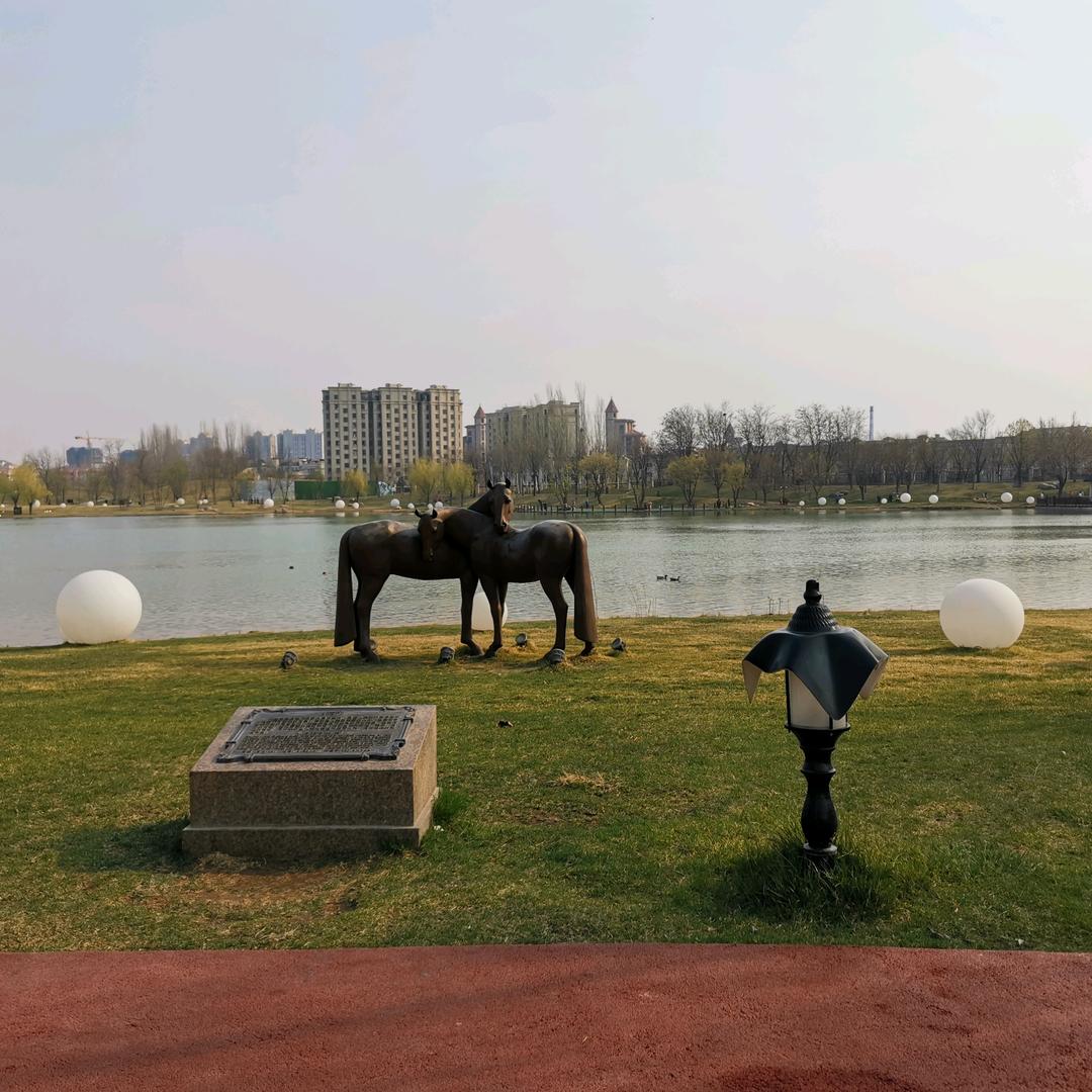 来哥🇨🇳