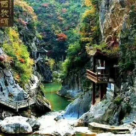 丢失的岁月