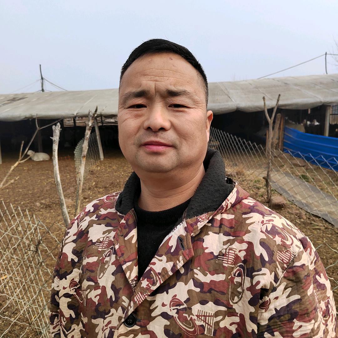 壮哥牛羊养殖技术服务2