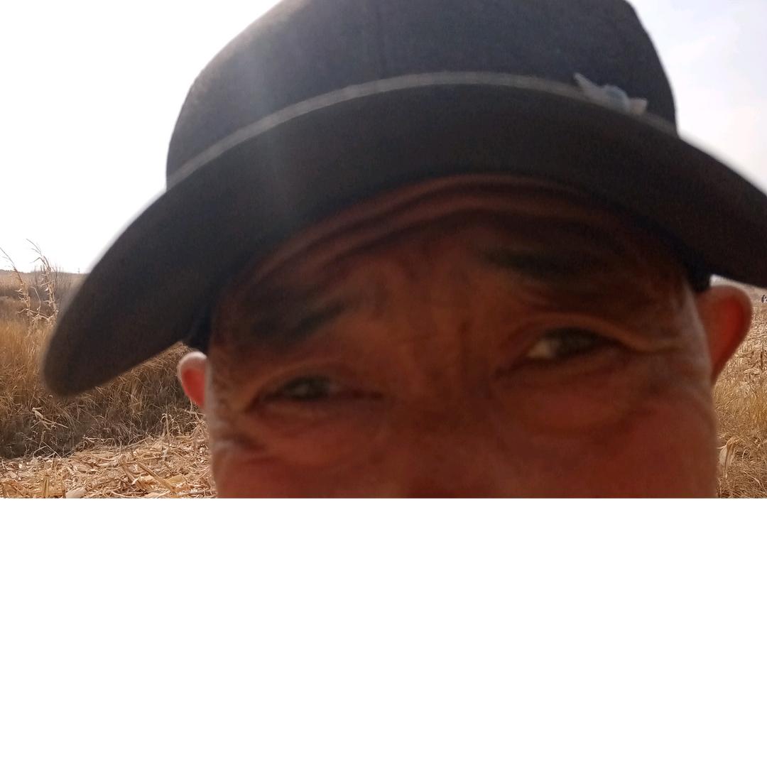 用户体验体验课