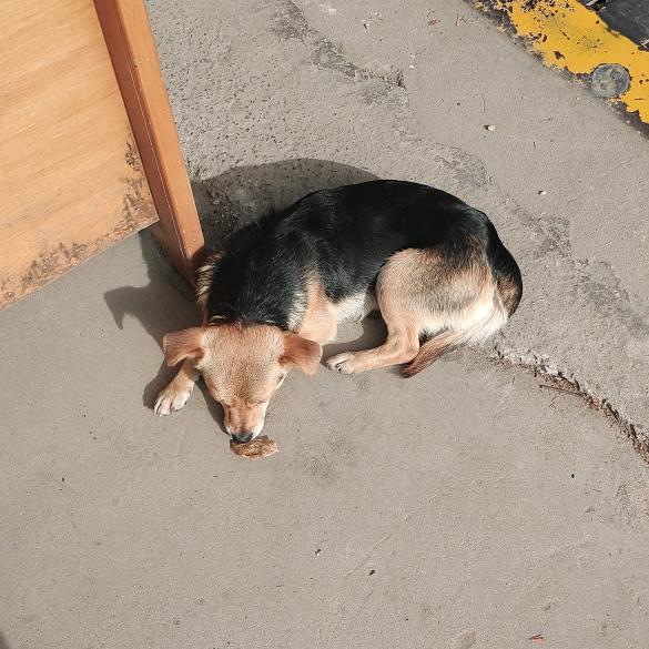 就是这个味