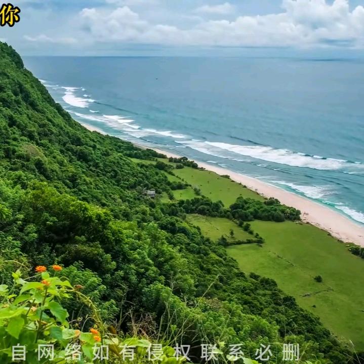 漂泊的思念