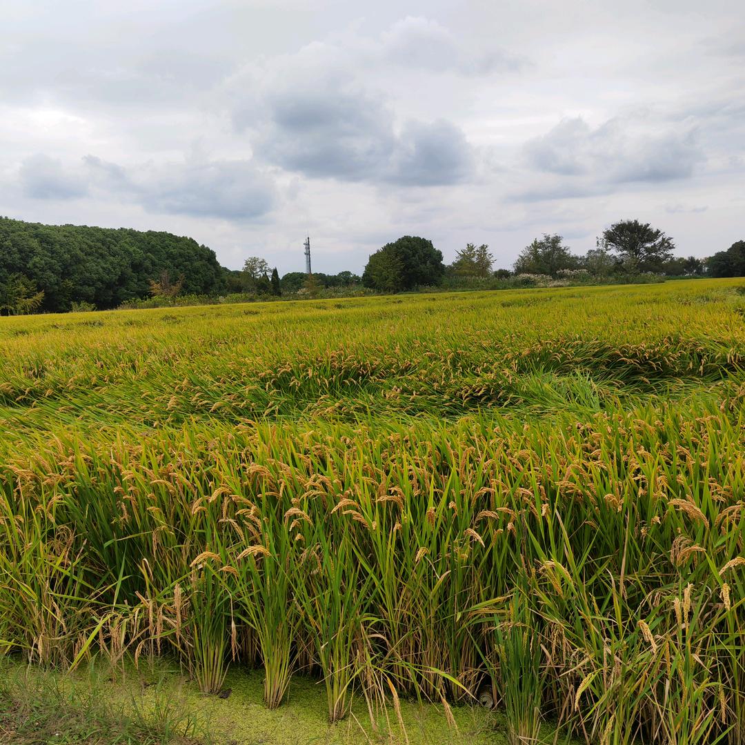 谦卑耐心等待…