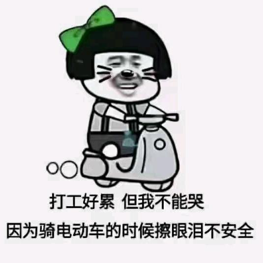 懵普拉斯
