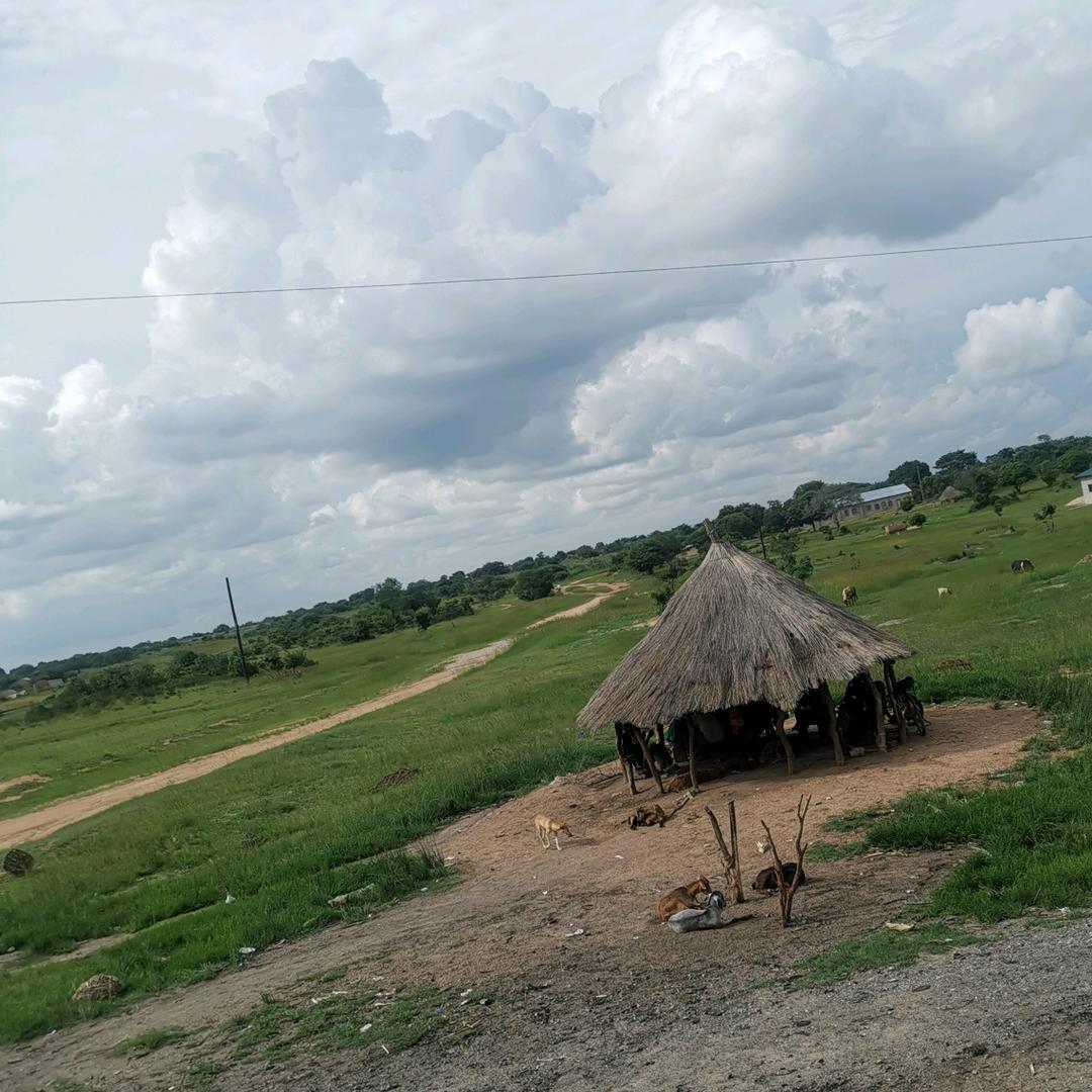 逍遥王👉🇨🇳