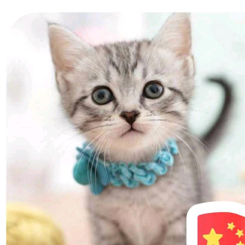 ღ读书郎᭄ꦿ࿐