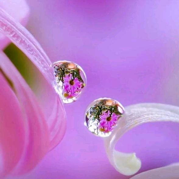 酒醉的雨滴