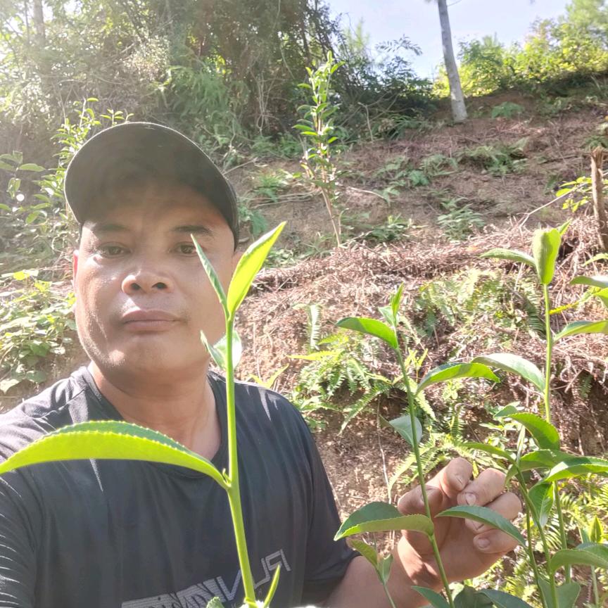 心尖尖南小风头像