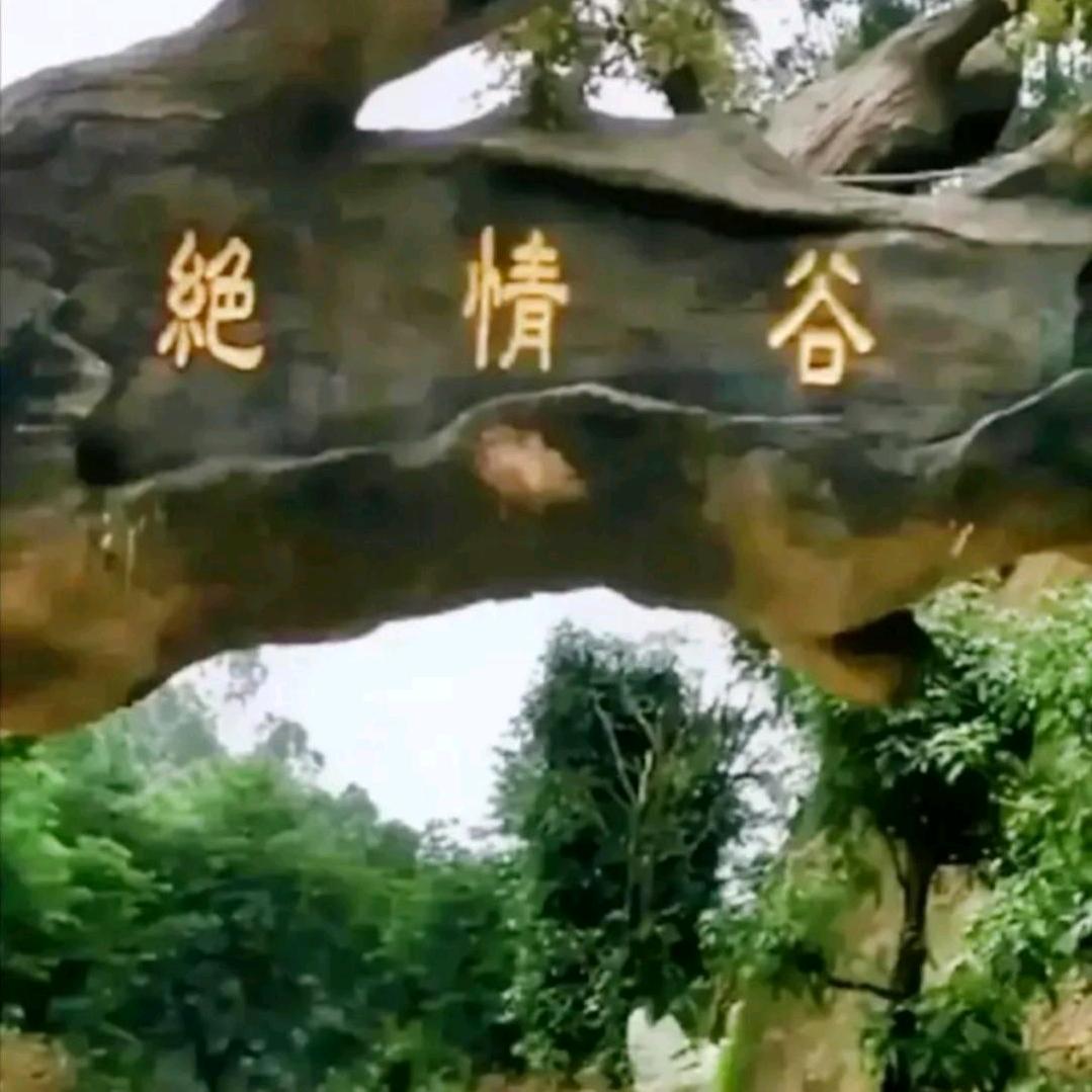 希望你过得好
