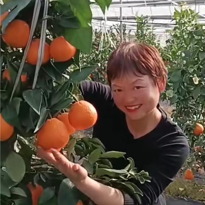 花山红美人