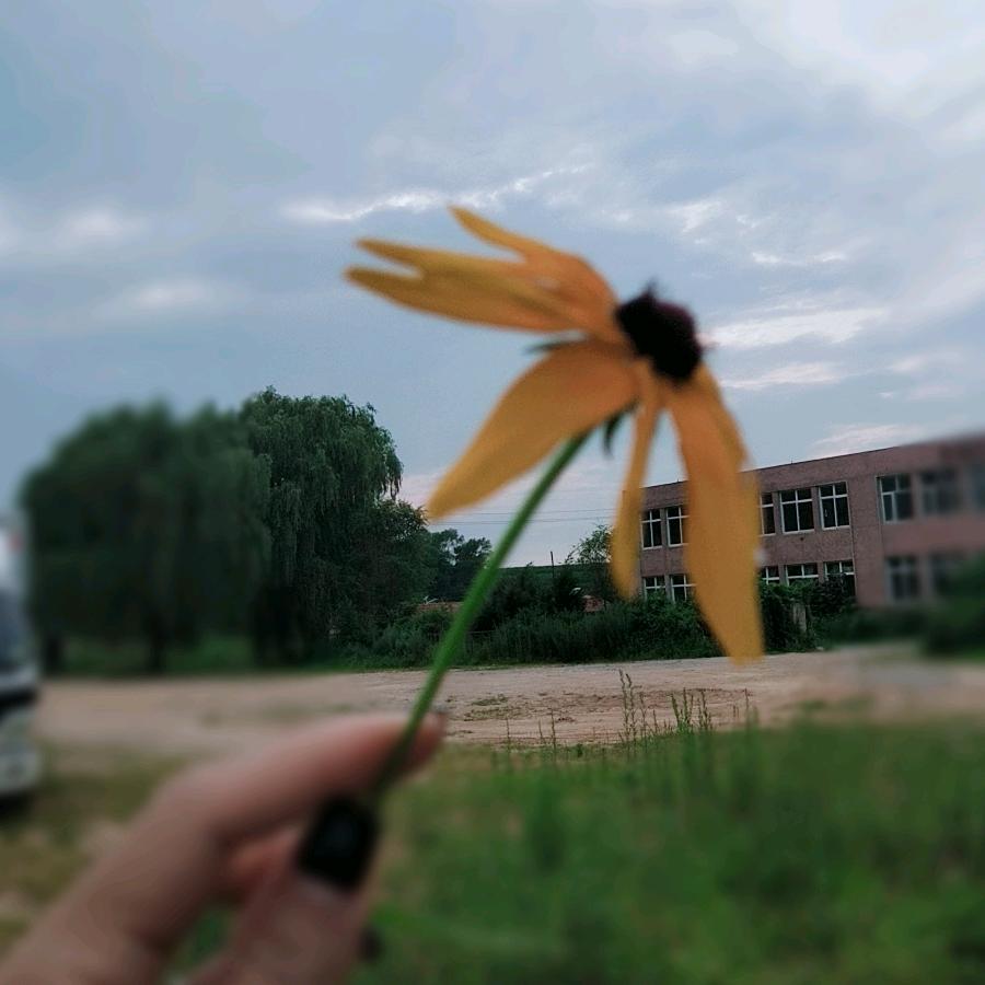 ……果……
