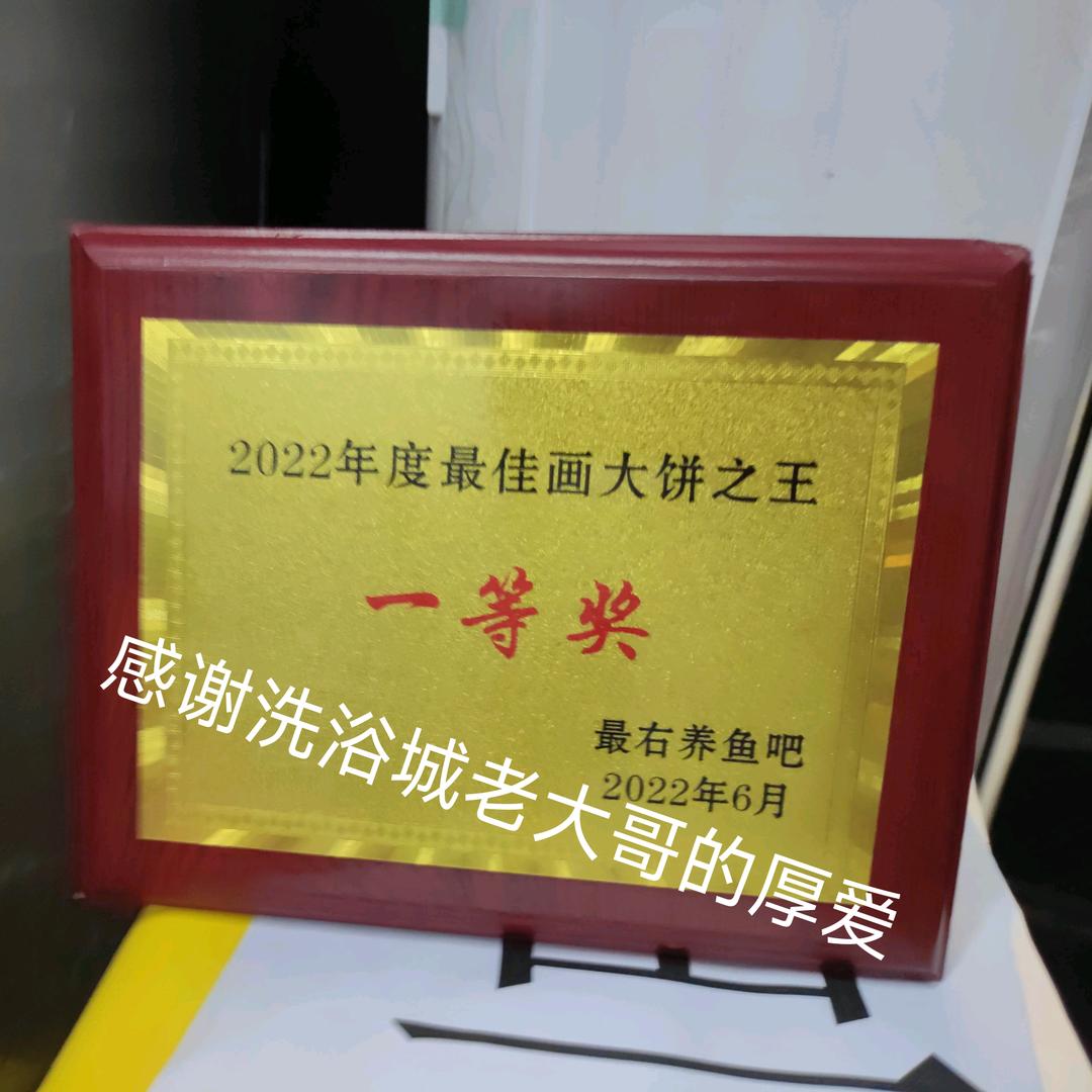 兰州租车吴凯凯养鱼呢汽车服务俱乐部