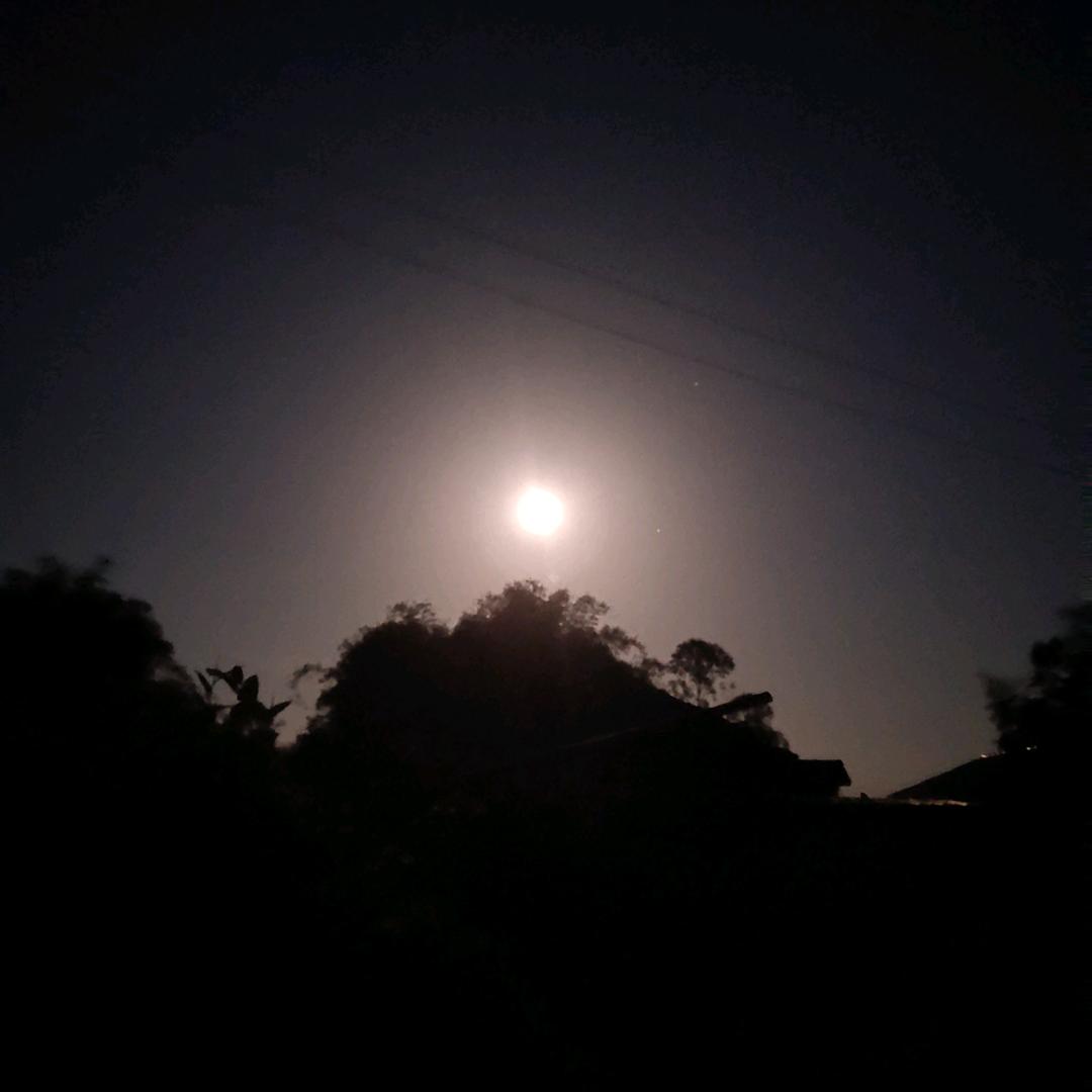 王平