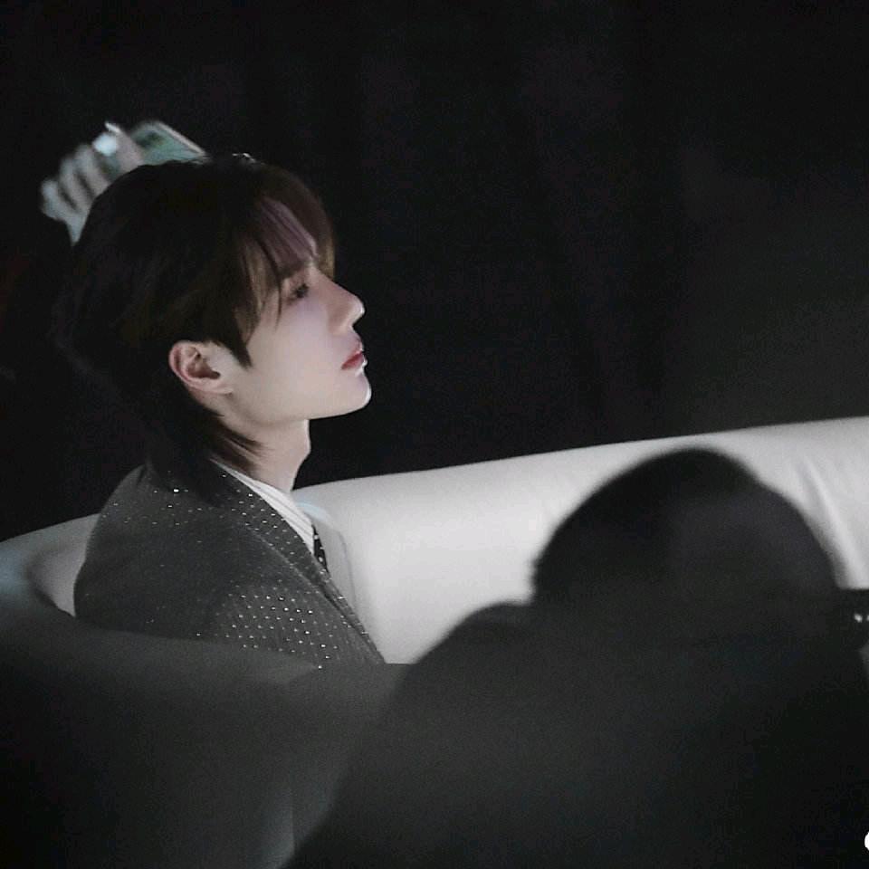 啵比的猫YiBo