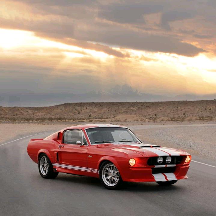 🇨🇳中国长垣