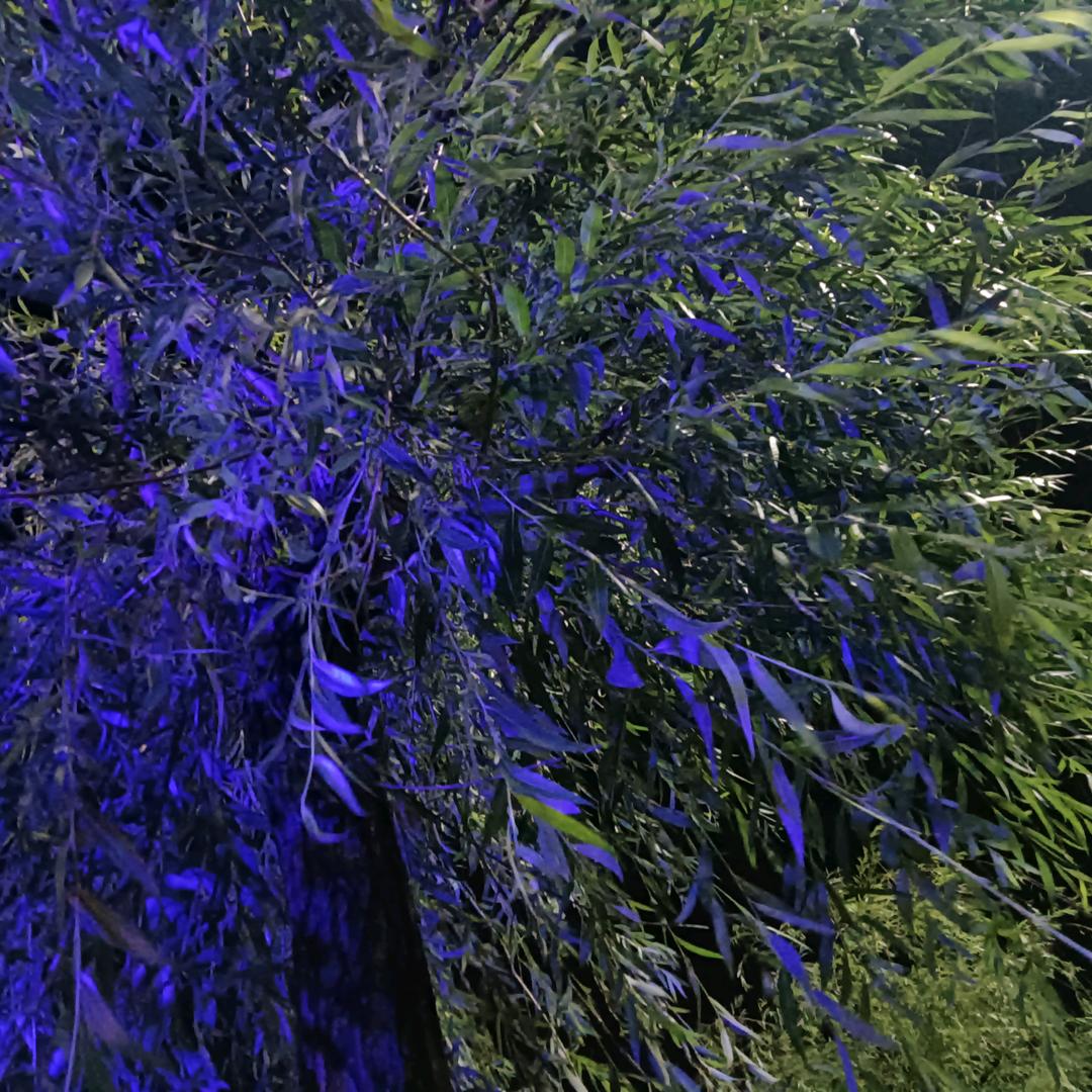 平平淡淡才是真