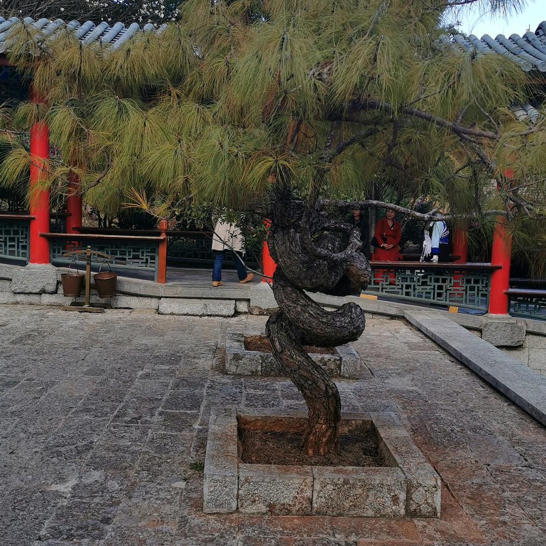 乐无穷
