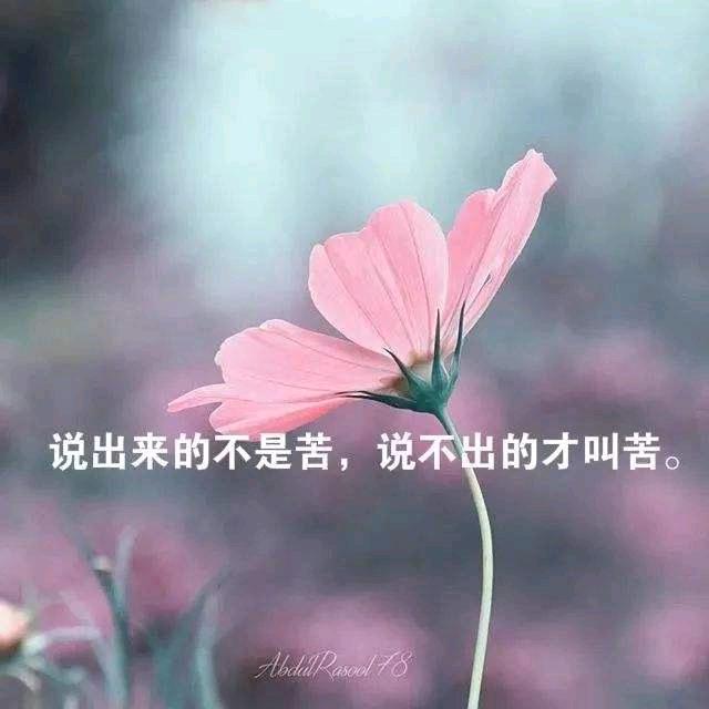 $冰唐葫芦&